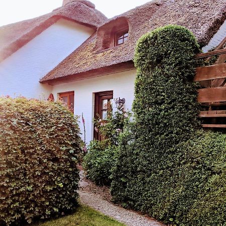Ferienhaus Ebbe Und Flut, Terrassen-Whg Ниблум Экстерьер фото